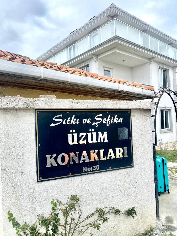 Wonderful Villa Airport 5 Minutes Arnavutkoy المظهر الخارجي الصورة